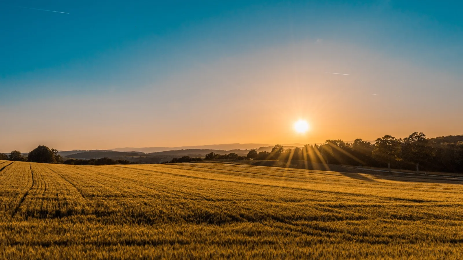 Farm landscape at golden hour